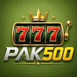 500PAK Game