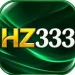 HZ333 Game